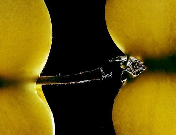 Fun with Fruits, Vegetables, Eggs and Other... (138 pics)