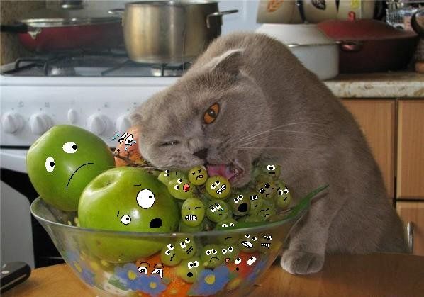 Fun with Fruits, Vegetables, Eggs and Other... (138 pics)