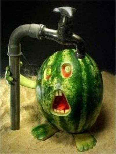 Fun with Fruits, Vegetables, Eggs and Other... (138 pics)
