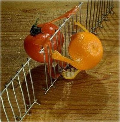Fun with Fruits, Vegetables, Eggs and Other... (138 pics)