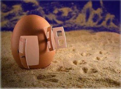 Fun with Fruits, Vegetables, Eggs and Other... (138 pics)