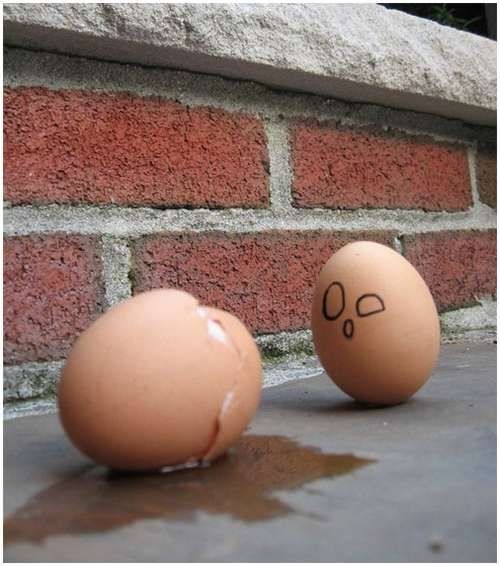Fun with Fruits, Vegetables, Eggs and Other... (138 pics)