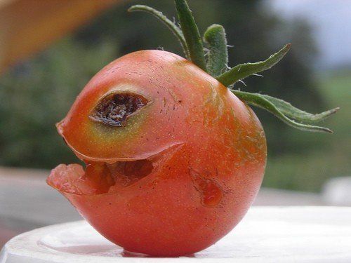 Fun with Fruits, Vegetables, Eggs and Other... (138 pics)