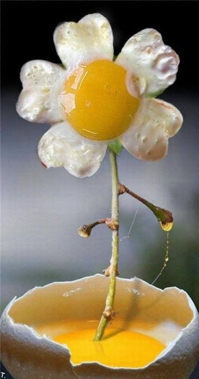 Fun with Fruits, Vegetables, Eggs and Other... (138 pics)