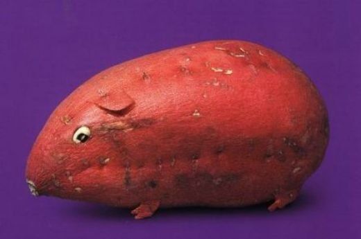 Fun with Fruits, Vegetables, Eggs and Other... (138 pics)
