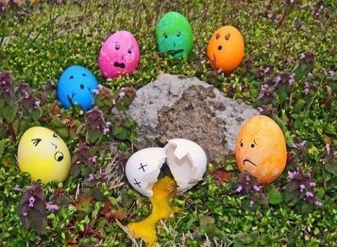 Fun with Fruits, Vegetables, Eggs and Other... (138 pics)