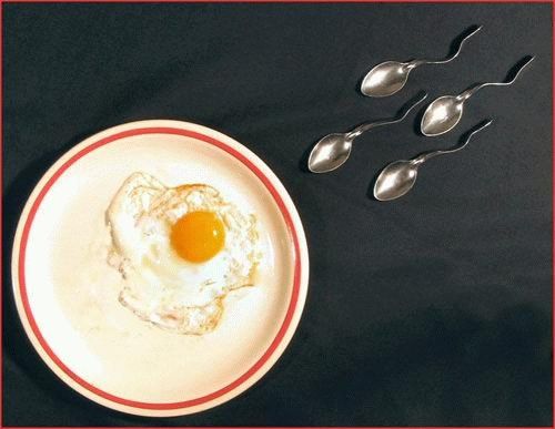 Fun with Fruits, Vegetables, Eggs and Other... (138 pics)