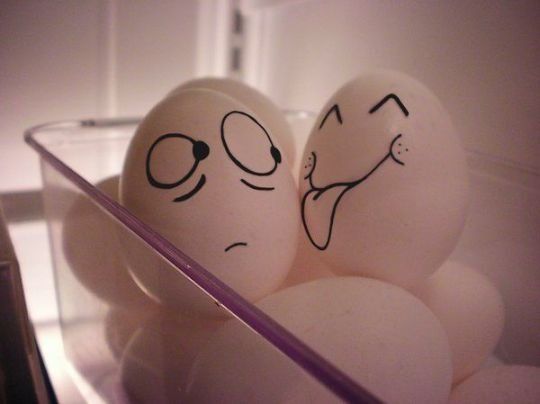 Fun with Fruits, Vegetables, Eggs and Other... (138 pics)