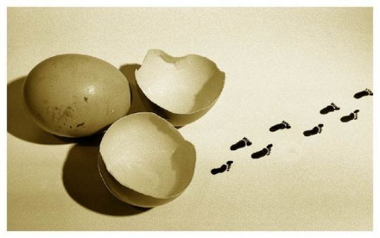 Fun with Fruits, Vegetables, Eggs and Other... (138 pics)