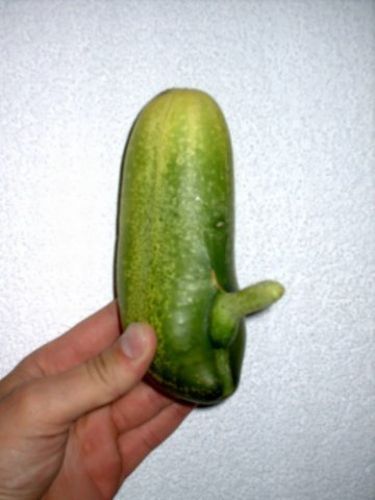 Fun with Fruits, Vegetables, Eggs and Other... (138 pics)