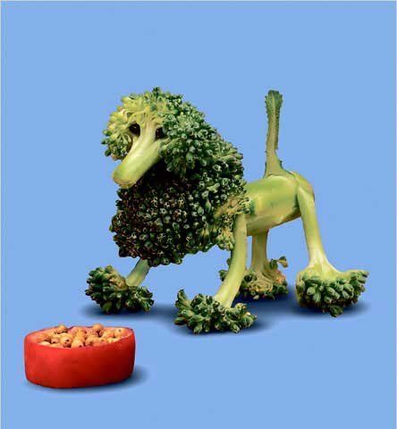 Fun with Fruits, Vegetables, Eggs and Other... (138 pics)