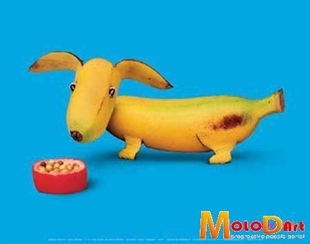 Fun with Fruits, Vegetables, Eggs and Other... (138 pics)