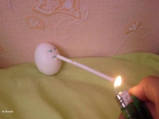Fun with Fruits, Vegetables, Eggs and Other... (138 pics)