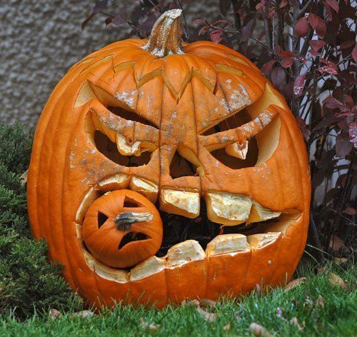 Fun with Fruits, Vegetables, Eggs and Other... (138 pics)