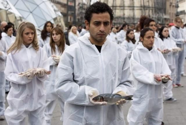 Demonstration of Defenders of Animal Rights in Madrid (10 pics)