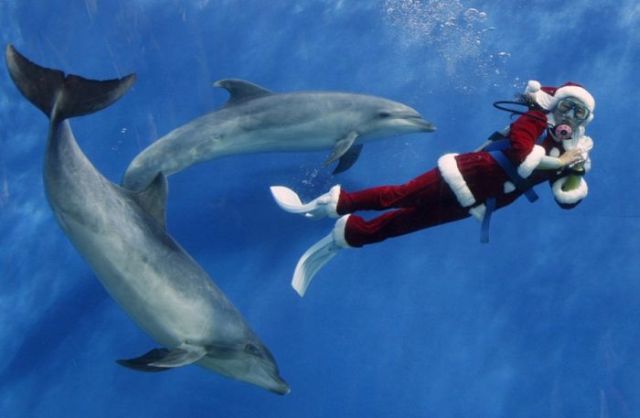 Best Reuters Photos of the Year 2009 (45 pics)