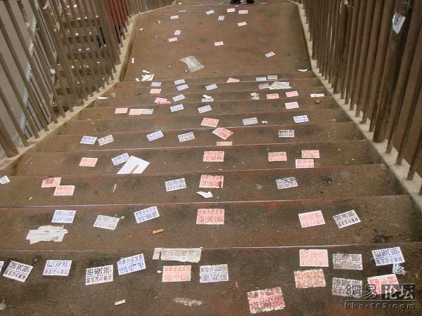 How to Deal with Ad Flyers (11 pics)