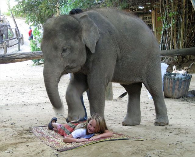 Daily picdump (107 pics)