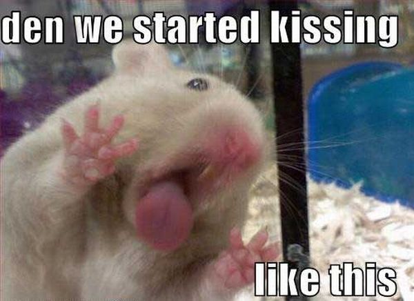 Daily picdump (107 pics)