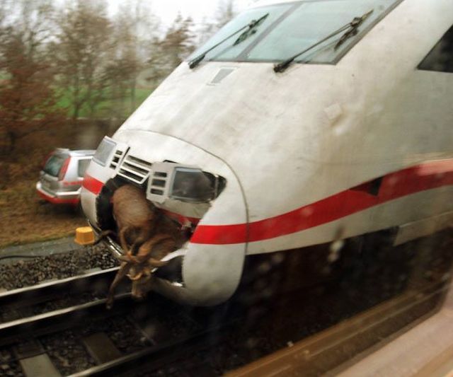 Daily picdump (107 pics)