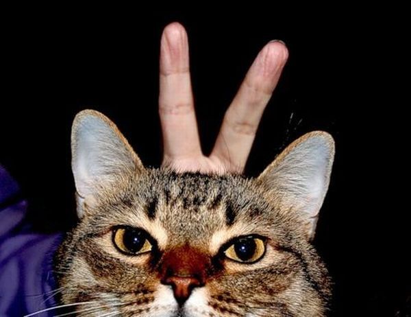 Daily picdump (107 pics)