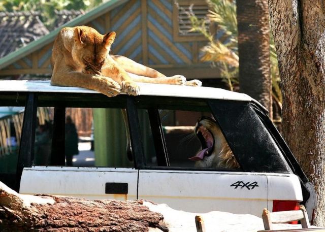 Daily picdump (107 pics)