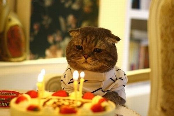 Daily picdump (107 pics)