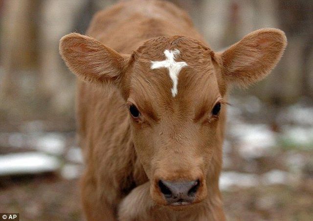 Daily picdump (107 pics)