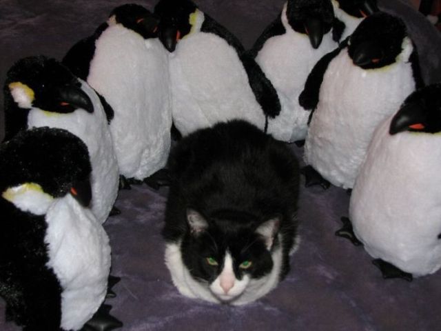 Daily picdump (107 pics)