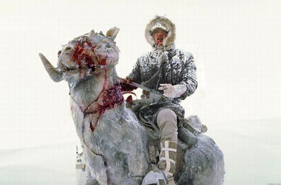 Star Wars Zombies (47 pics)
