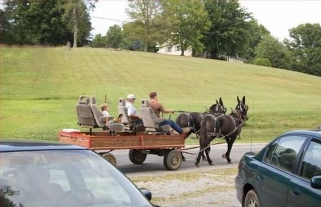 Daily picdump (149 pics)