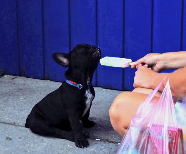 Daily picdump (149 pics)