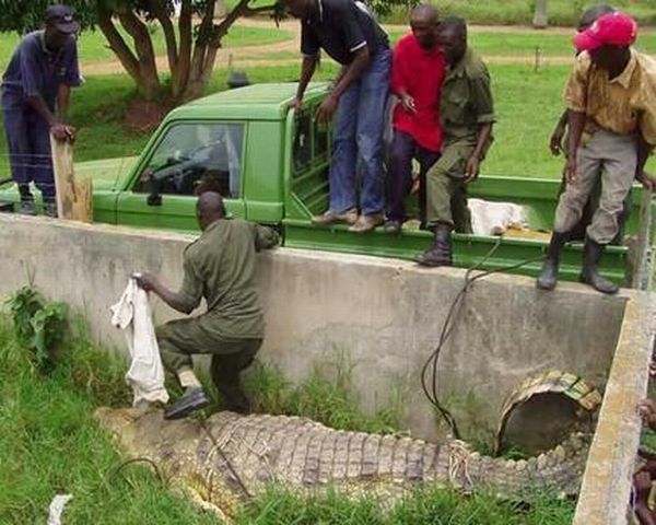 Daily picdump (149 pics)