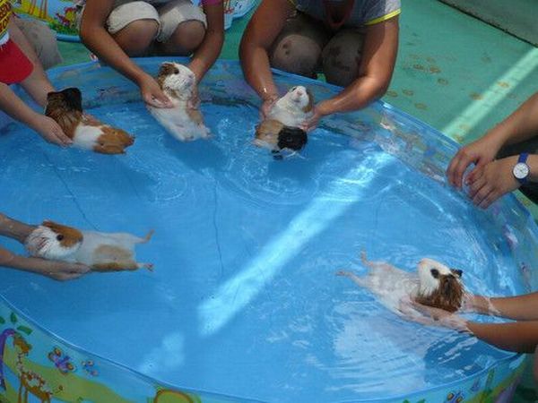 Daily picdump (149 pics)