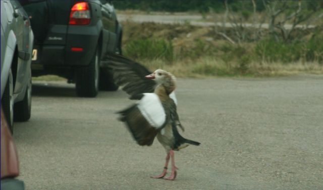 Daily picdump (149 pics)