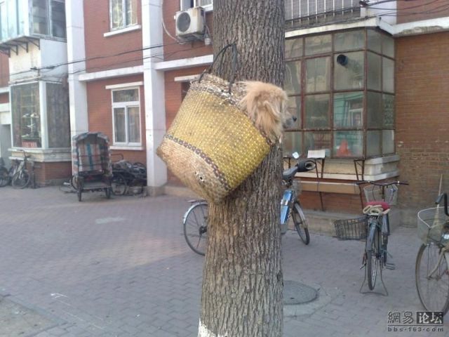 Daily picdump (149 pics)