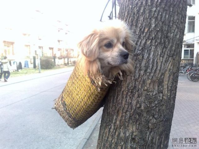Daily picdump (149 pics)