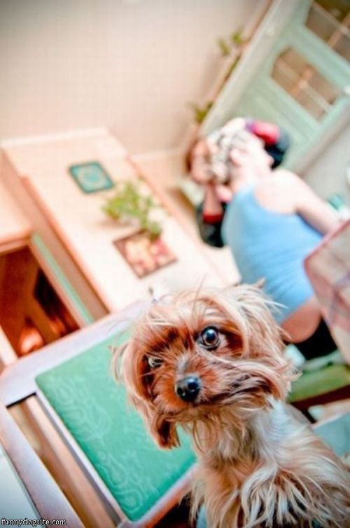 Daily picdump (149 pics)