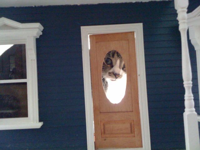 Daily picdump (149 pics)