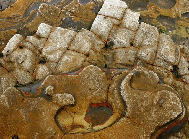 Beautiful Patterns in Nature From National Geographic. Part 1 (74 pics)