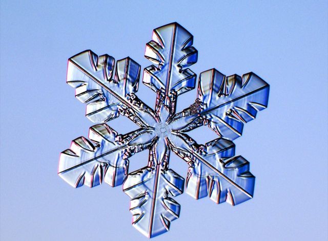 Beautiful Patterns in Nature from National Geographic. Part 3 (64 pics)