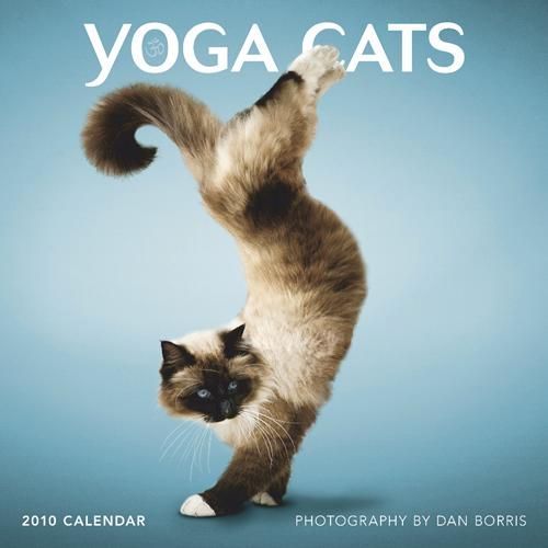 The ‘Yoga Cats’ 2010 Calendar (14 pics)