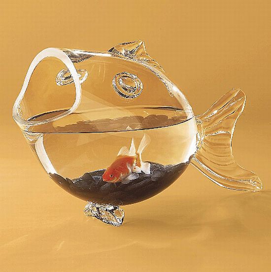 Unusual Design of Ordinary Things (167 pics)
