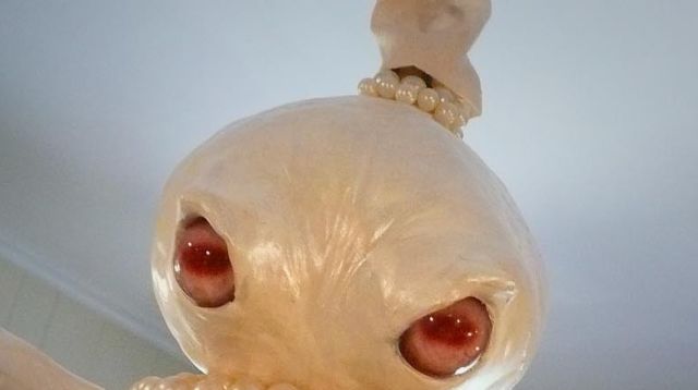 Spooky Creature for Your Ceiling (3 pics)