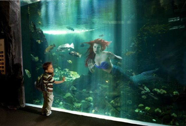 American Photo Images of the Year – Competition 2009 (98 pics)