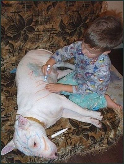 Bad Parents. Part 3 (68 pics)