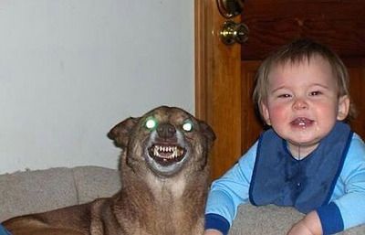 Bad Parents. Part 3 (68 pics)