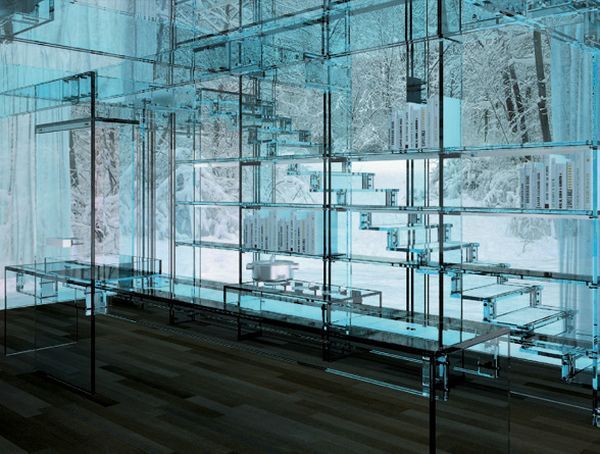 Transparent House (7 pics)