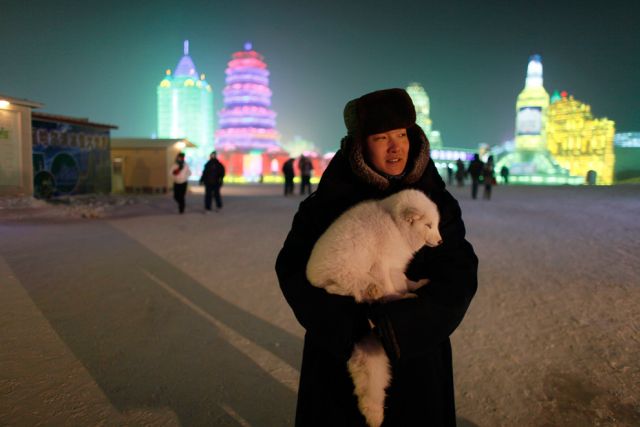 Amazing Ice and Snow Sculpture Festival (49 pics)