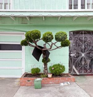 Curiosities and bonus pictures